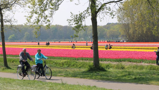 bicycle tour with local guide