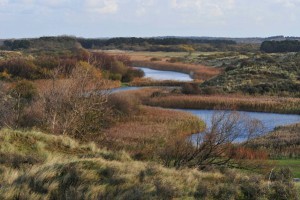 Amsterdamse Waterleidingduinen