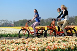 fietsen keukenhof