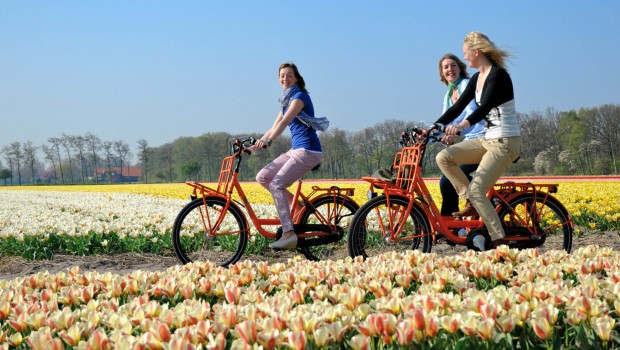 fietsen keukenhof