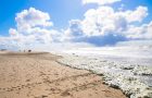 Strand bollenstreek