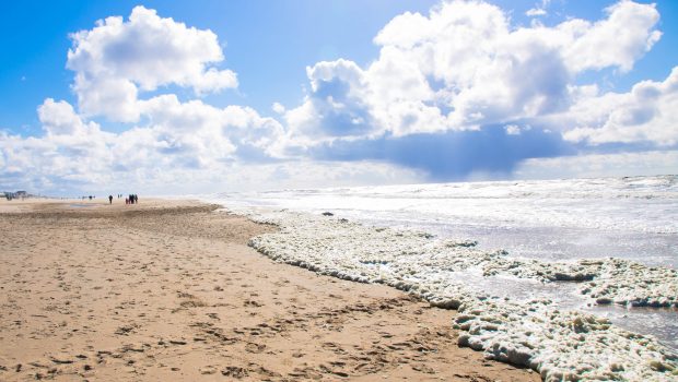 Strand bollenstreek