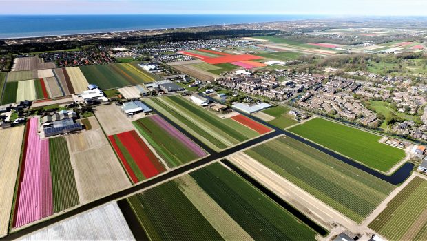 Drone beelden bloemenvelden