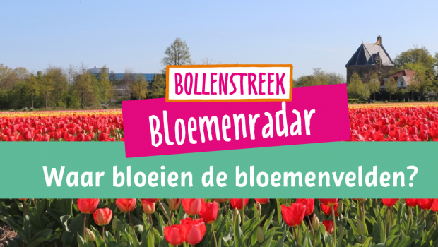 bloemenradar keukenhof