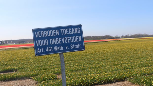 niet door de bloemenvelden lopen