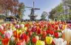 Keukenhof voor kinderen