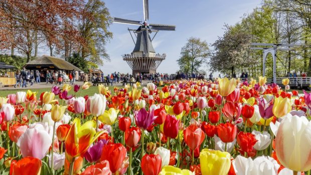 Keukenhof voor kinderen