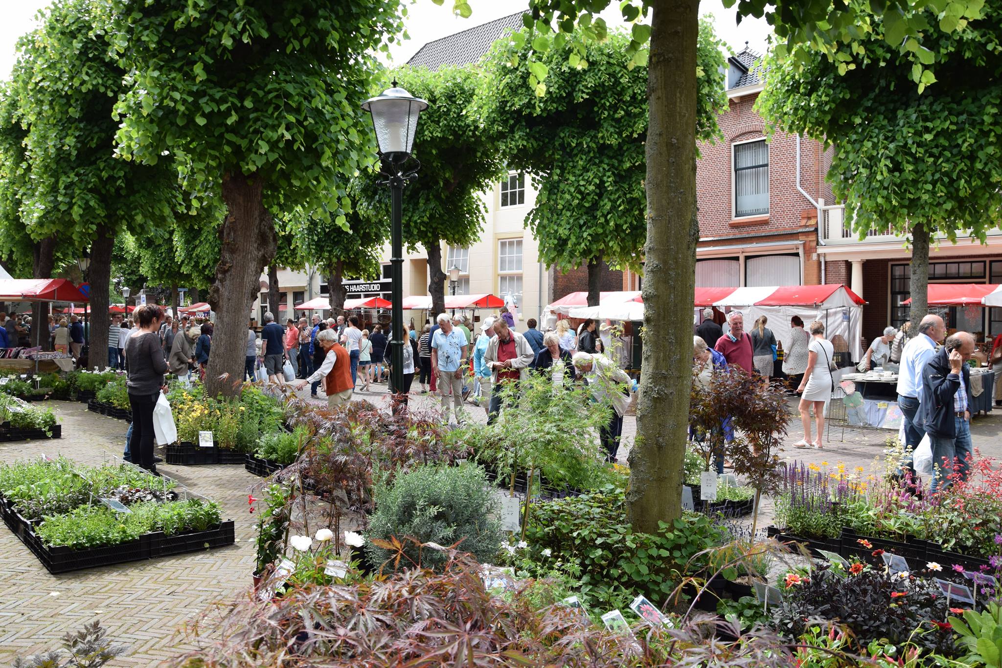 markt onder de linden Noordwijk