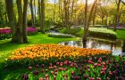 Abonnement Keukenhof