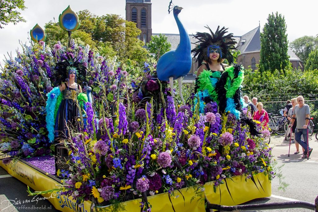 Flower Parade Rijnsburg