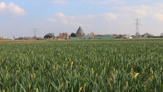 Bloemenvelden 14 maart 2018