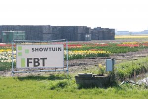 FBT Showtuin in Lisse