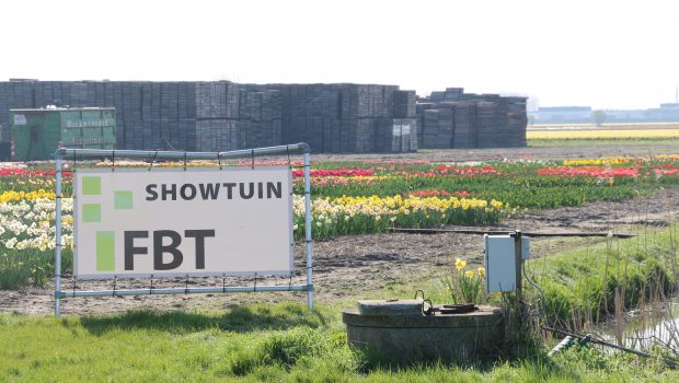 FBT Showtuin in Lisse