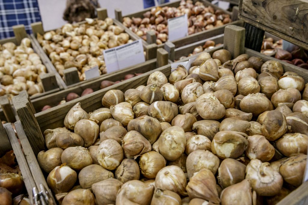 Keukenhof Bloembollenmarkt 2018