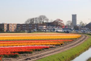 Hotel near tulip fields Holland