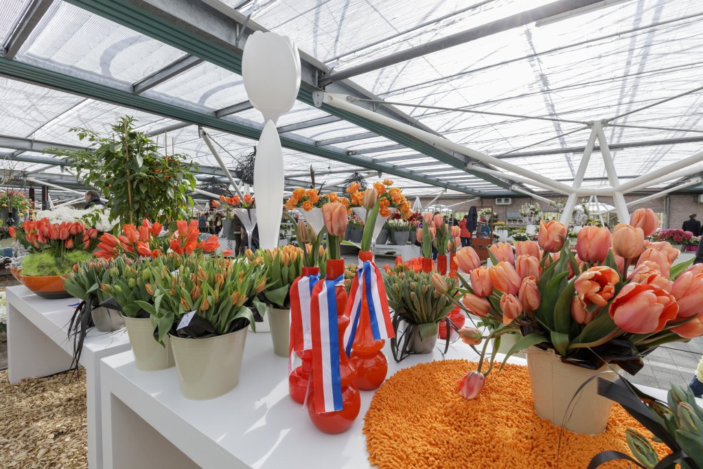 Koningsdag Keukenhof