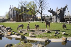 Diergaarde Blijdorp Rotterdam