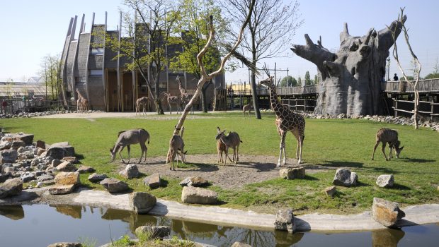 Diergaarde Blijdorp Rotterdam