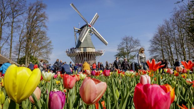 Travel to Keukenhof