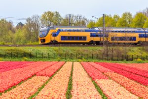 Bike rental Train station Hillegom Holland