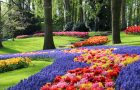 2019 recordjaar voor Keukenhof