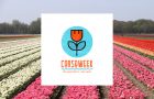 Corsoweek Bollenstreek