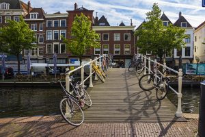 Fietsroute rondje Leiden bloemenvelden Keukenhof