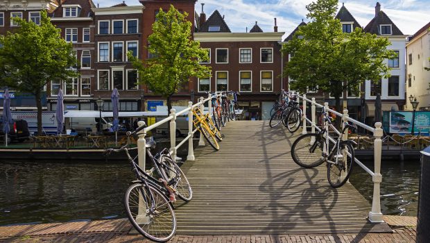 Fietsroute rondje Leiden bloemenvelden Keukenhof