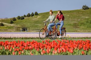 Keukenhof fietsrouteKeukenhof fietsroute