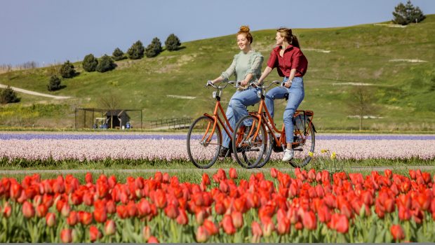 Keukenhof fietsrouteKeukenhof fietsroute