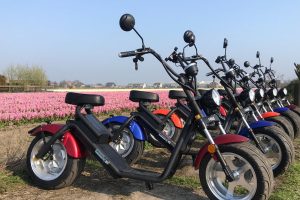 Electric scooter Bollenstreek