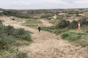 duinkabouterpad langevelderslag Noordwijk