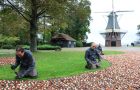 Keukenhof bloembollen planten