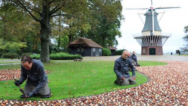 Keukenhof bloembollen planten