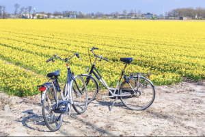 begeleide fietstocht tourz