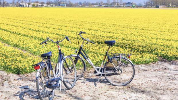 begeleide fietstocht tourz