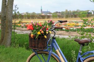 Fietsverhuur Lisse