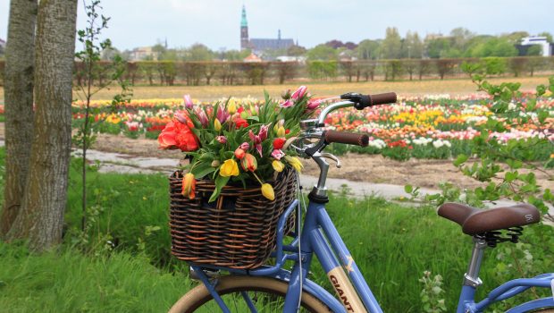 Fietsverhuur Lisse