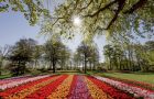 Keukenhof test dagen