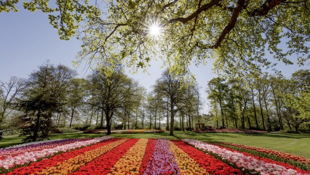 Keukenhof test dagen