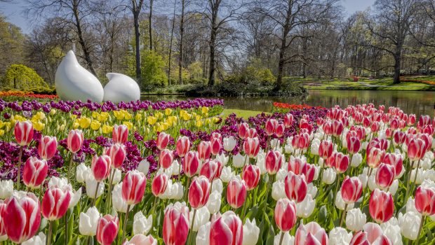 Korting Keukenhof