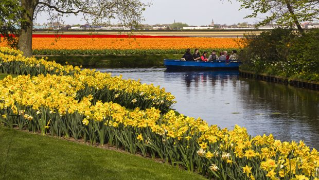 Keukenhof rondvaart tulpenvelden