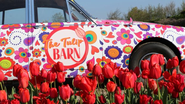 Tulip Barn Hillegom