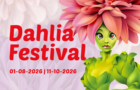 Dahlia Festival 2026