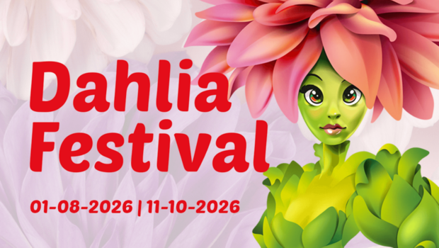 Dahlia Festival 2026